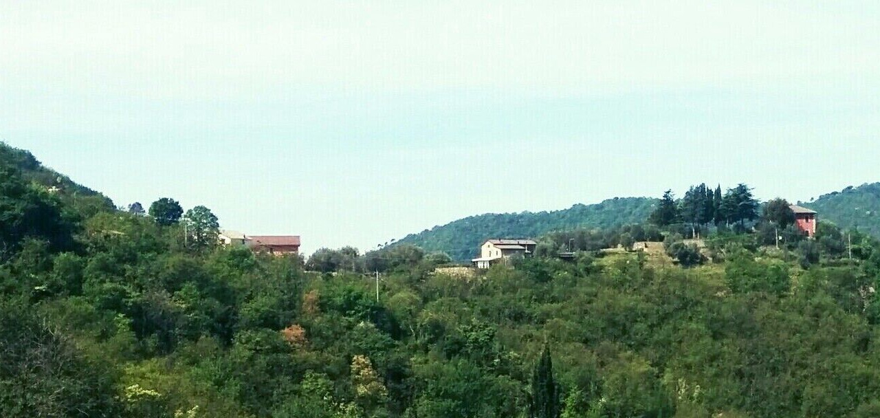 Photo of Others in Vescina