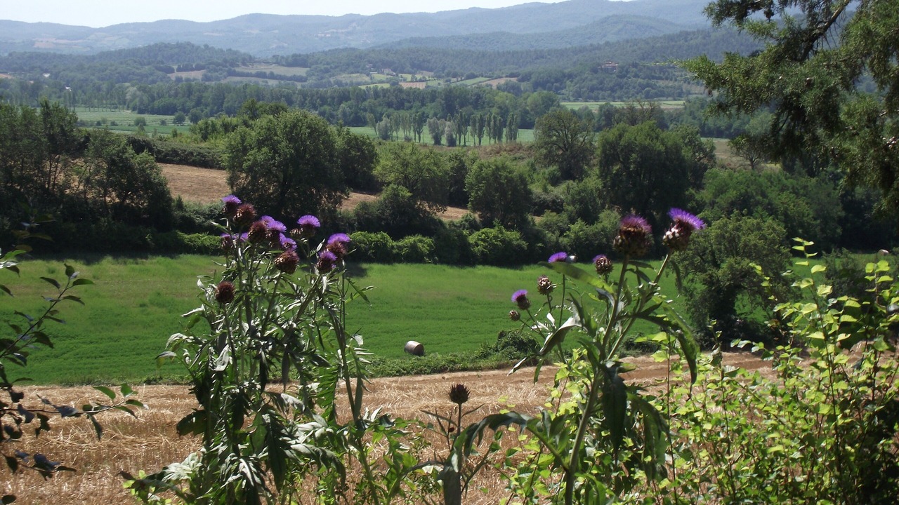 Photo of Outdoor in Anghiari