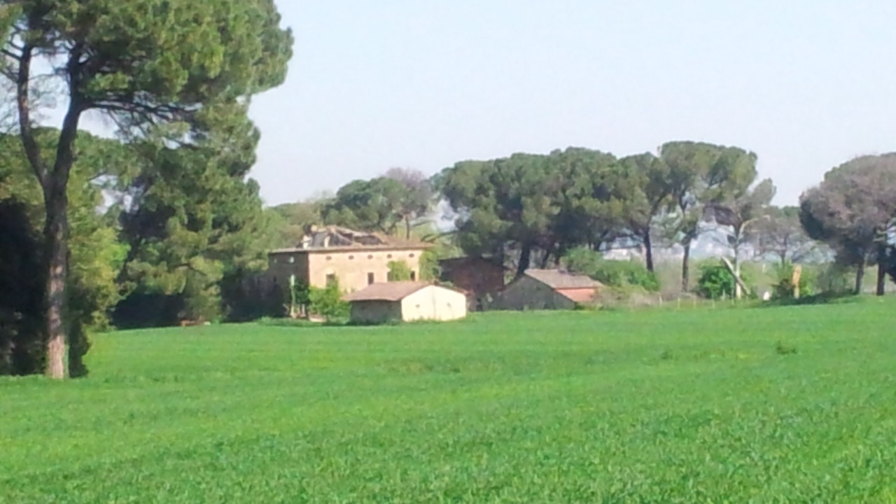 Photo of Others in Torgiano
