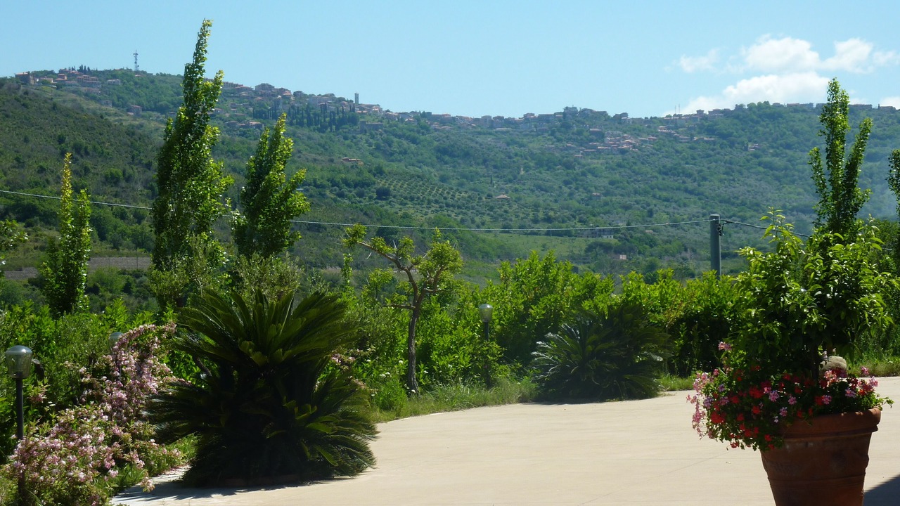 Photo of Outdoor in Laureana Cilento