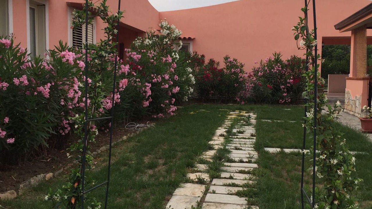 Photo of Outdoor in Diamante