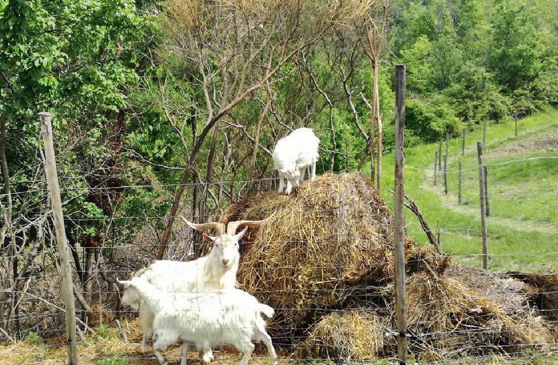 Photo of Outdoor in Assisi