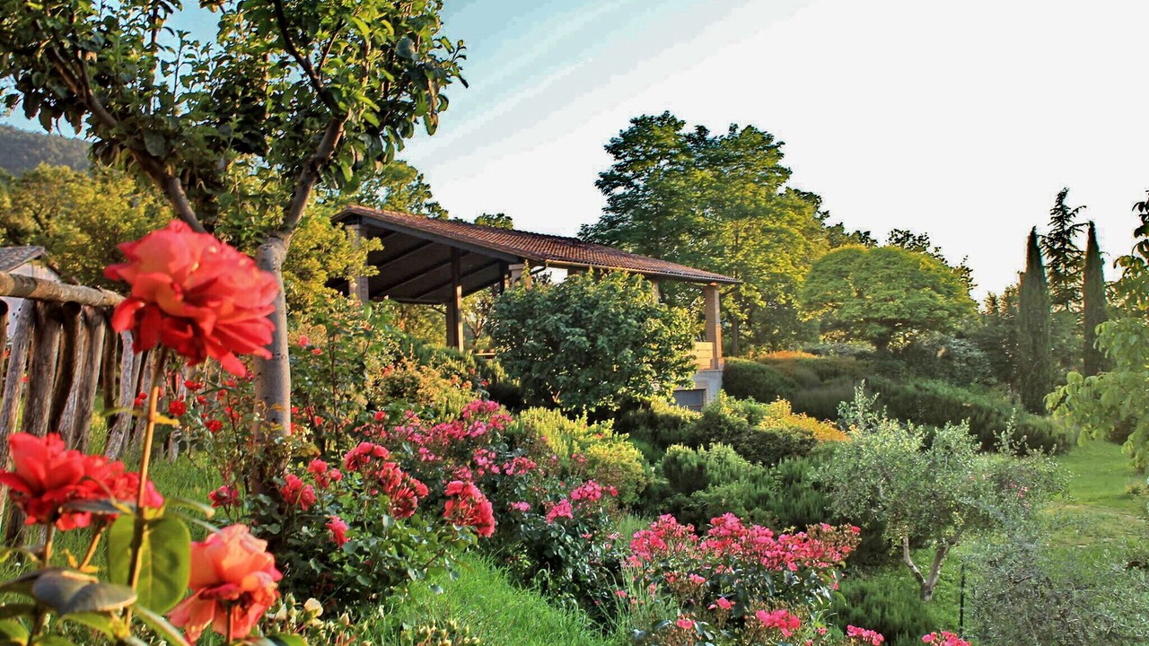 Photo of Outdoor in Assisi
