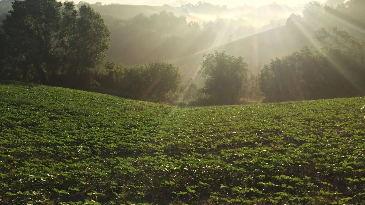 Photo of Outdoor in Montottone
