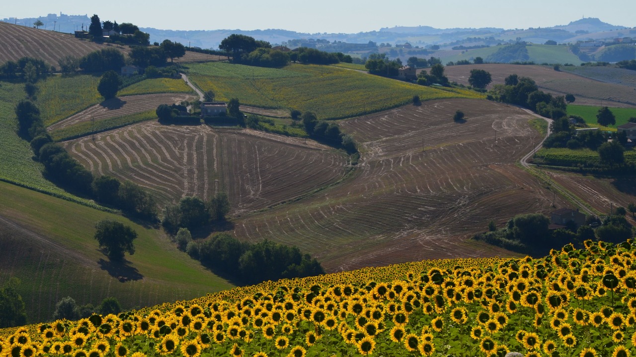 Photo of Outdoor in Francavilla d'Ete
