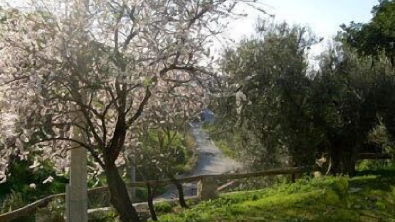 Photo of Outdoor in San Mauro Cilento