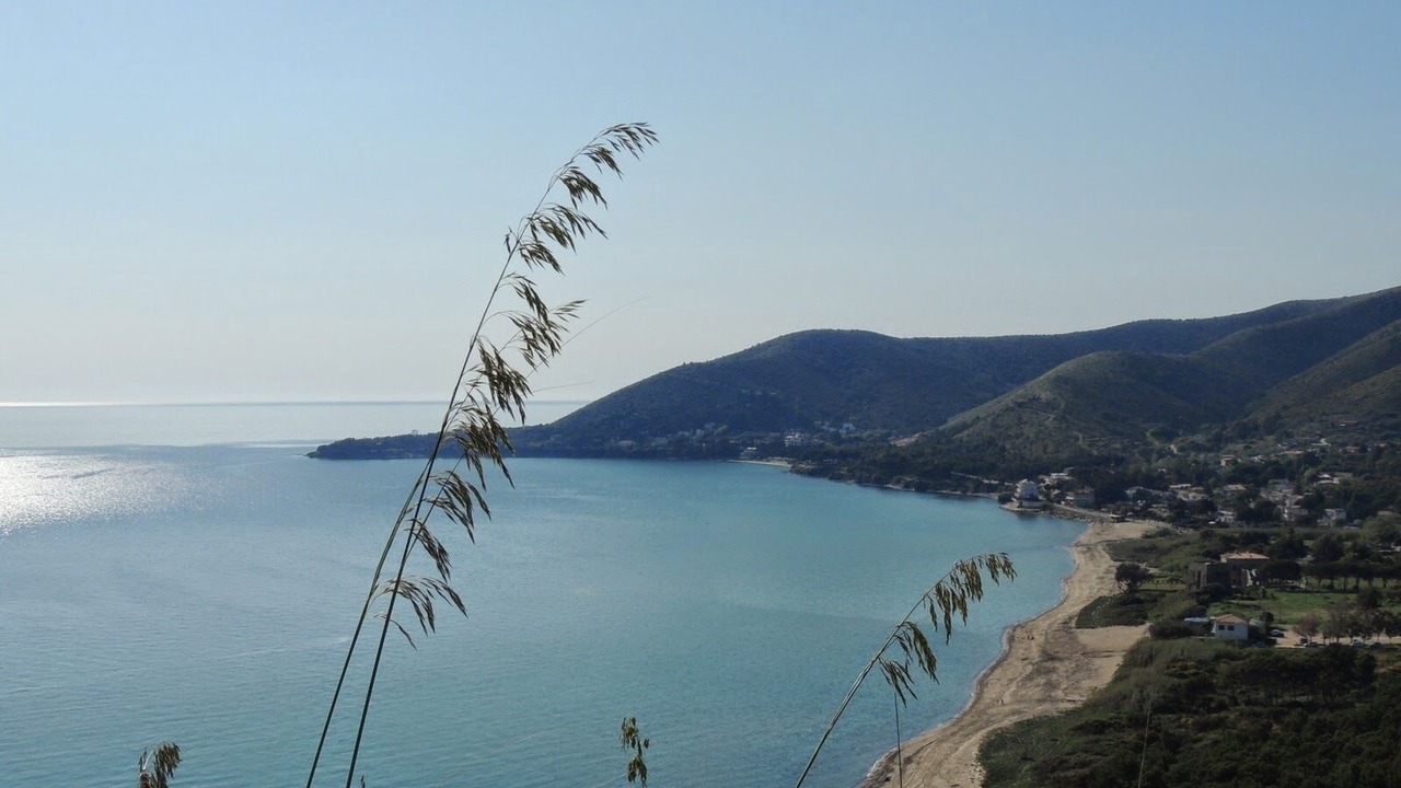 Photo of Others in San Mauro Cilento