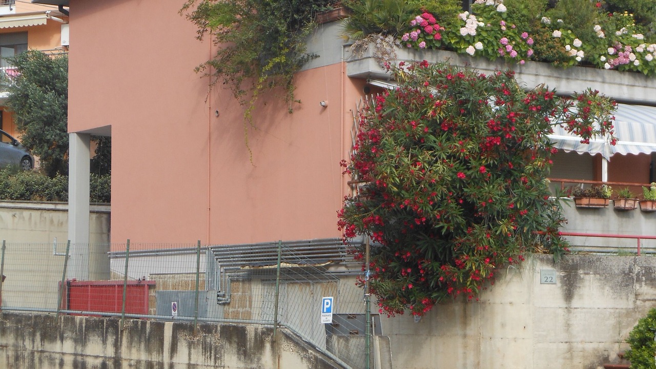 Photo of Outdoor in Lido Riccio