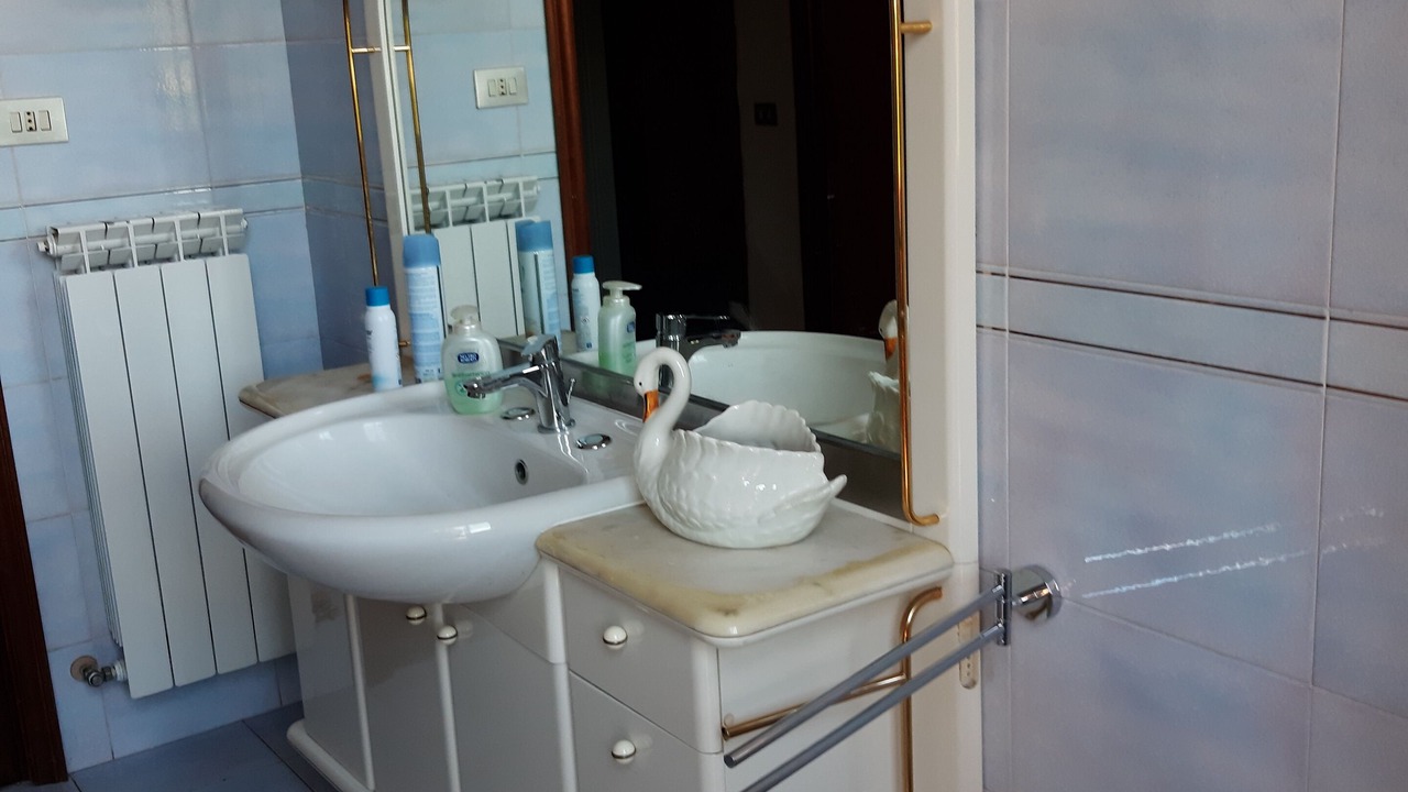 Photo of Bathroom in Branca