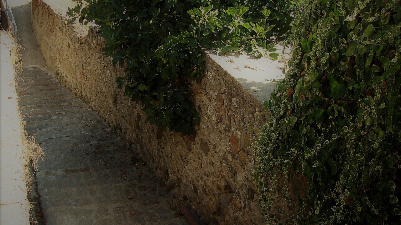 Photo of Outdoor in Marina di Casal Velino