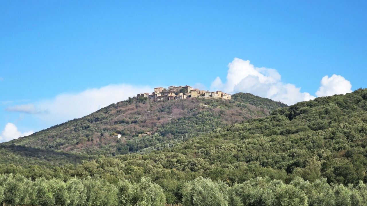 Photo of Others in Roccastrada