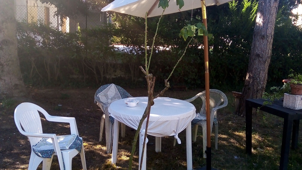 Photo of Outdoor in Osimo