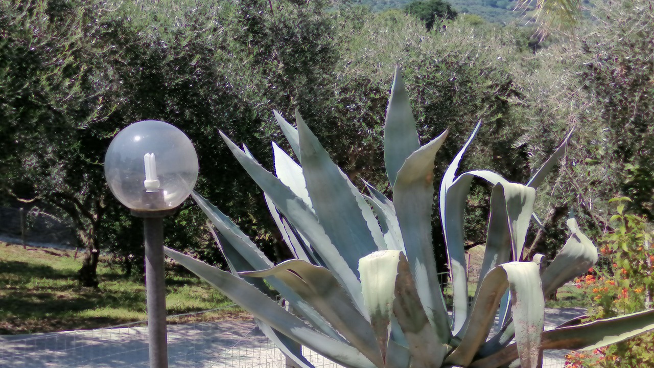 Photo of Outdoor in Pizzo