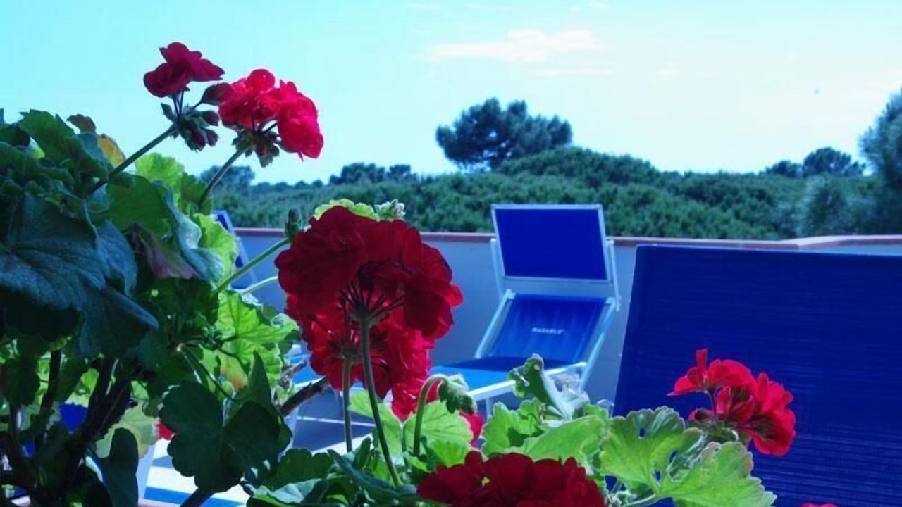 Photo of Outdoor in Principina a Mare