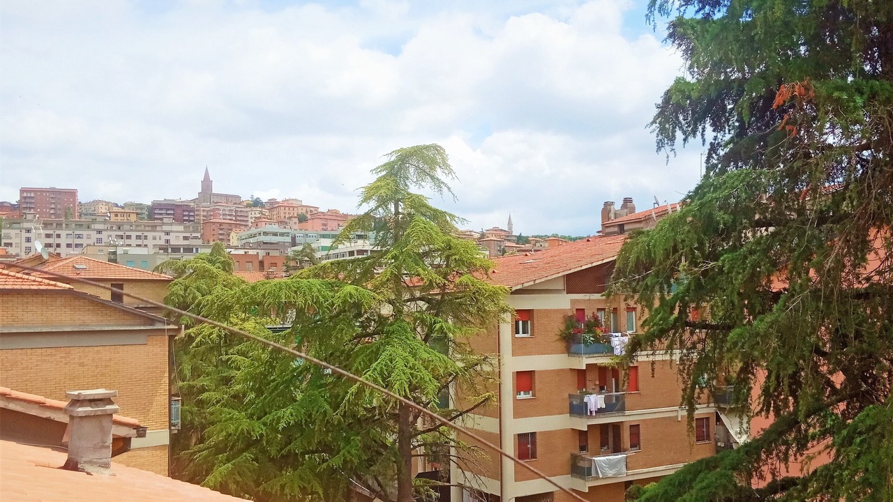 Photo of Others in Perugia