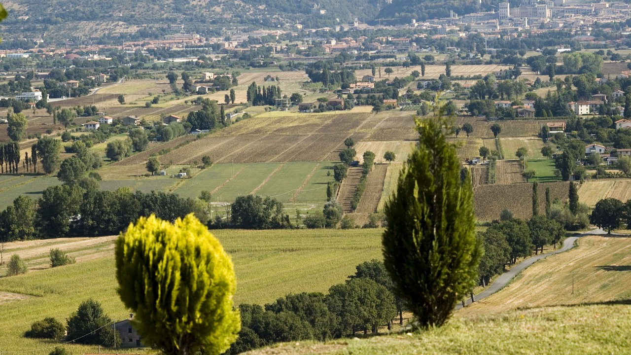 Photo of Outdoor in Monteluiano