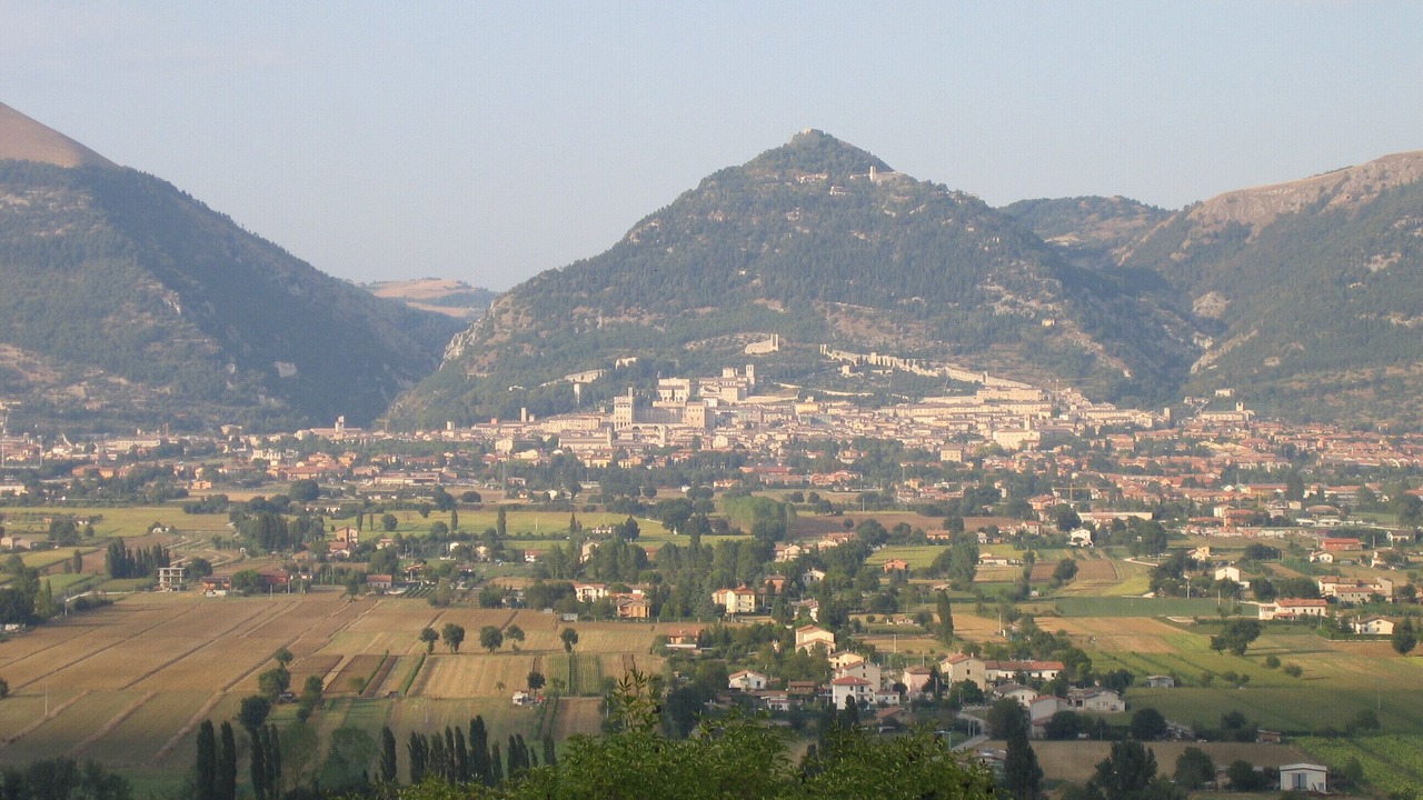 Photo of Outdoor in Monteluiano