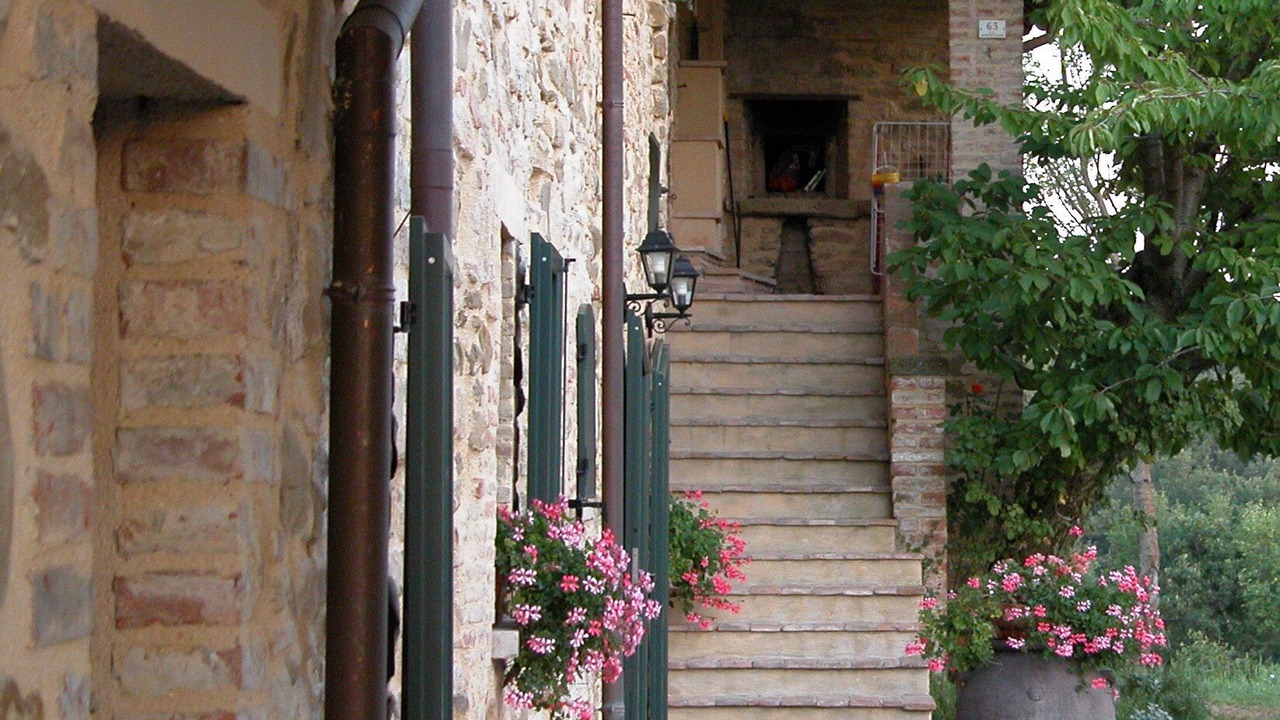 Photo of Outdoor in Monteluiano