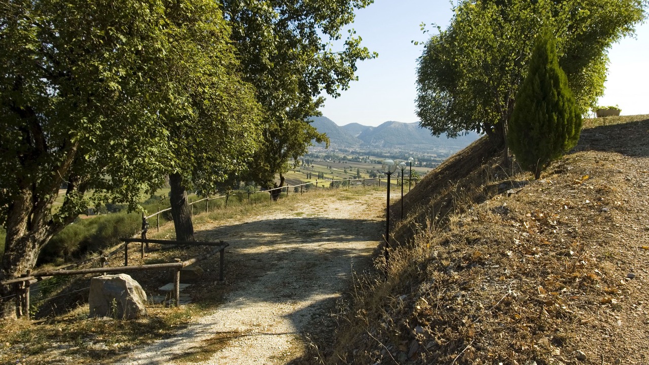 Photo of Outdoor in Monteluiano
