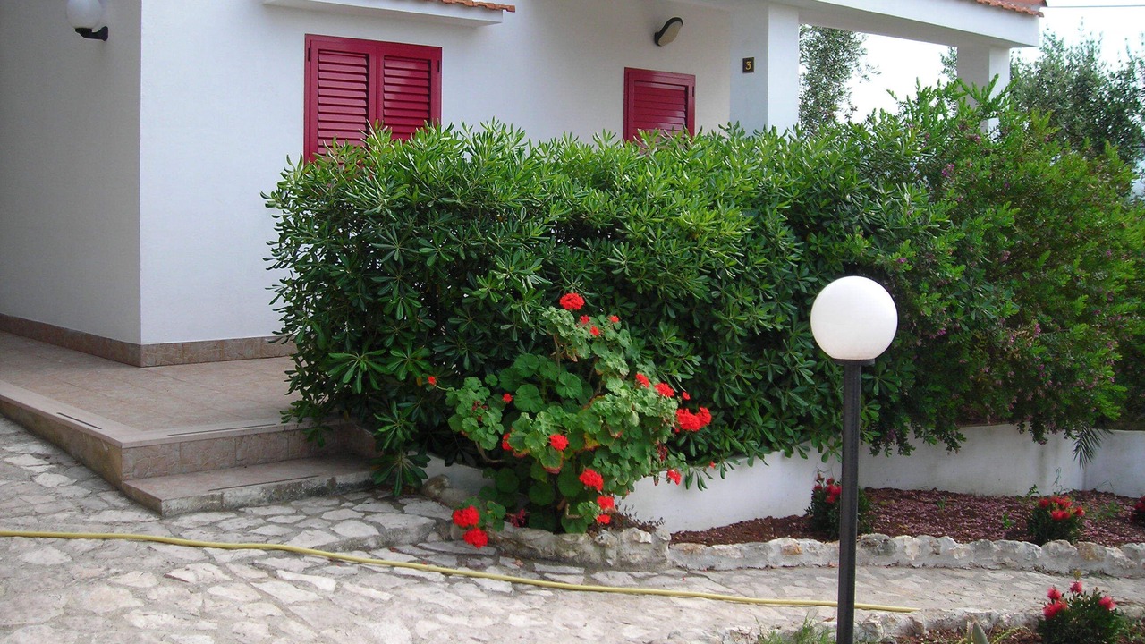Photo of Outdoor in Defensola