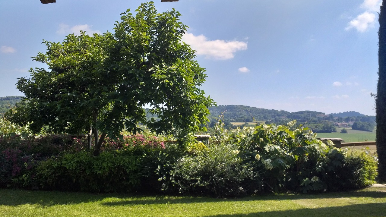 Photo of Outdoor in Roppolo