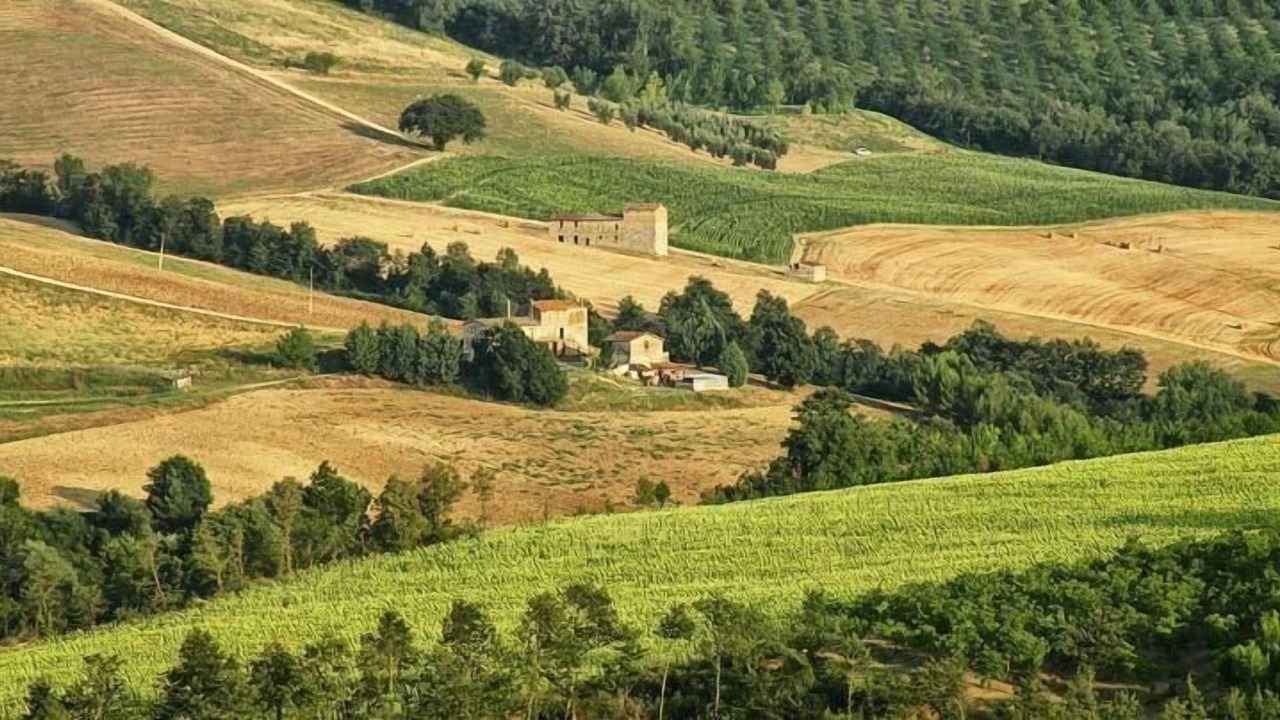 Photo of Others in San Venanzo