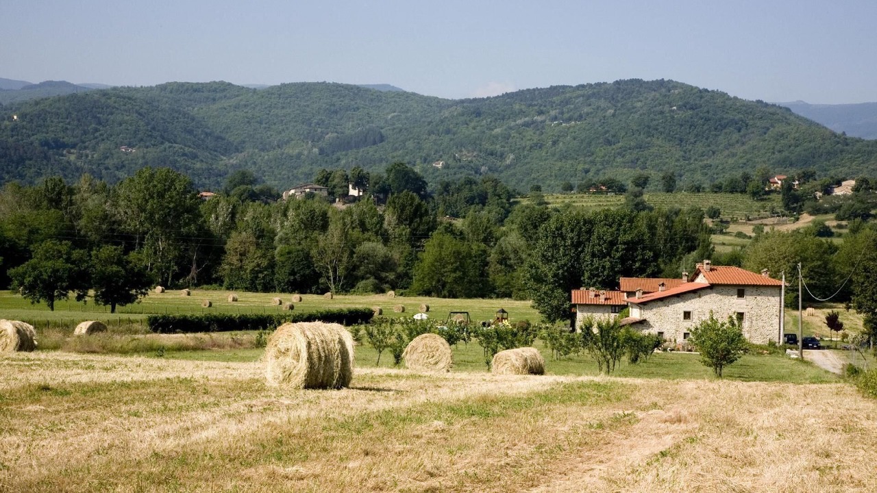 Photo of Others in Porrena