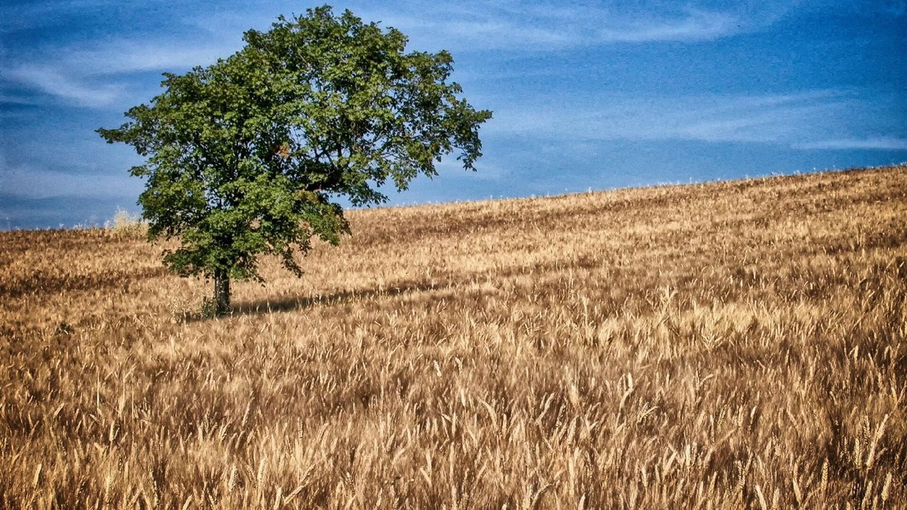 Photo of Others in San Venanzo