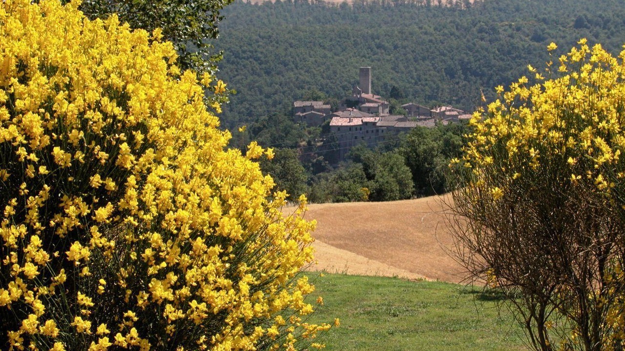 Photo of Outdoor in San Venanzo