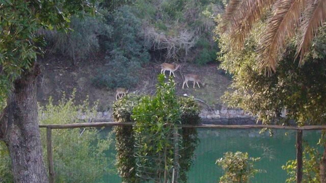 Photo of Outdoor in Ansedonia