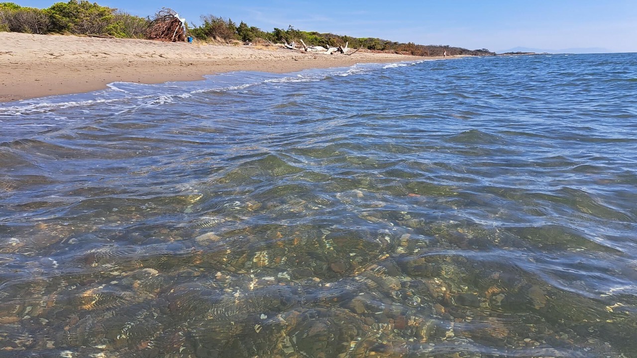 Photo of Others in Principina a Mare