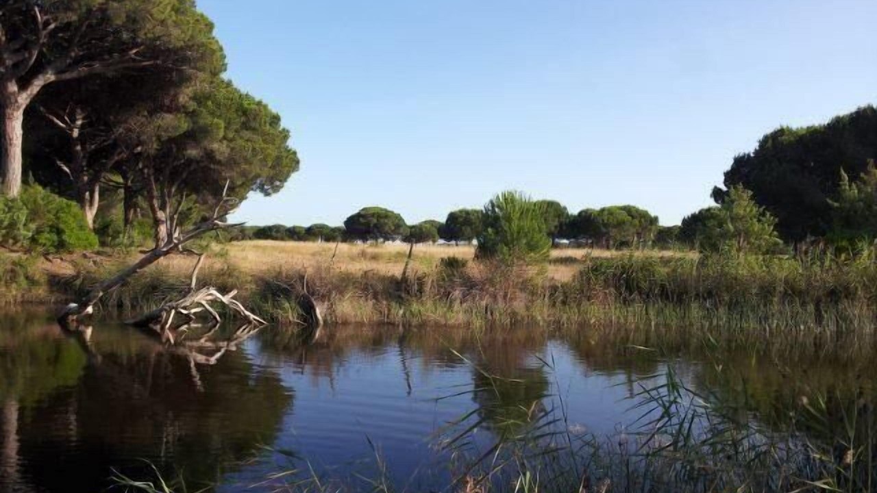 Photo of Outdoor in Principina a Mare