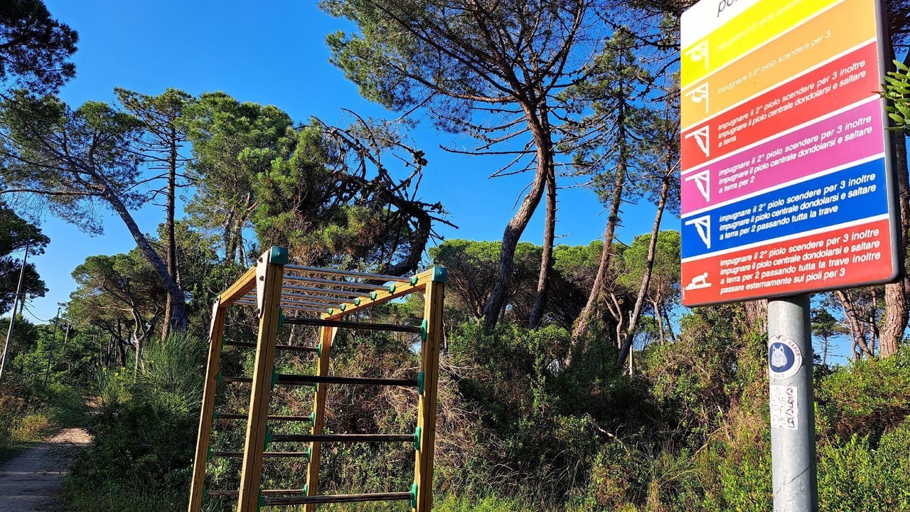 Photo of Outdoor in Principina a Mare
