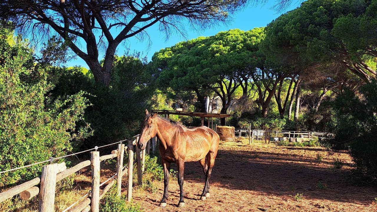 Photo of Outdoor in Principina a Mare
