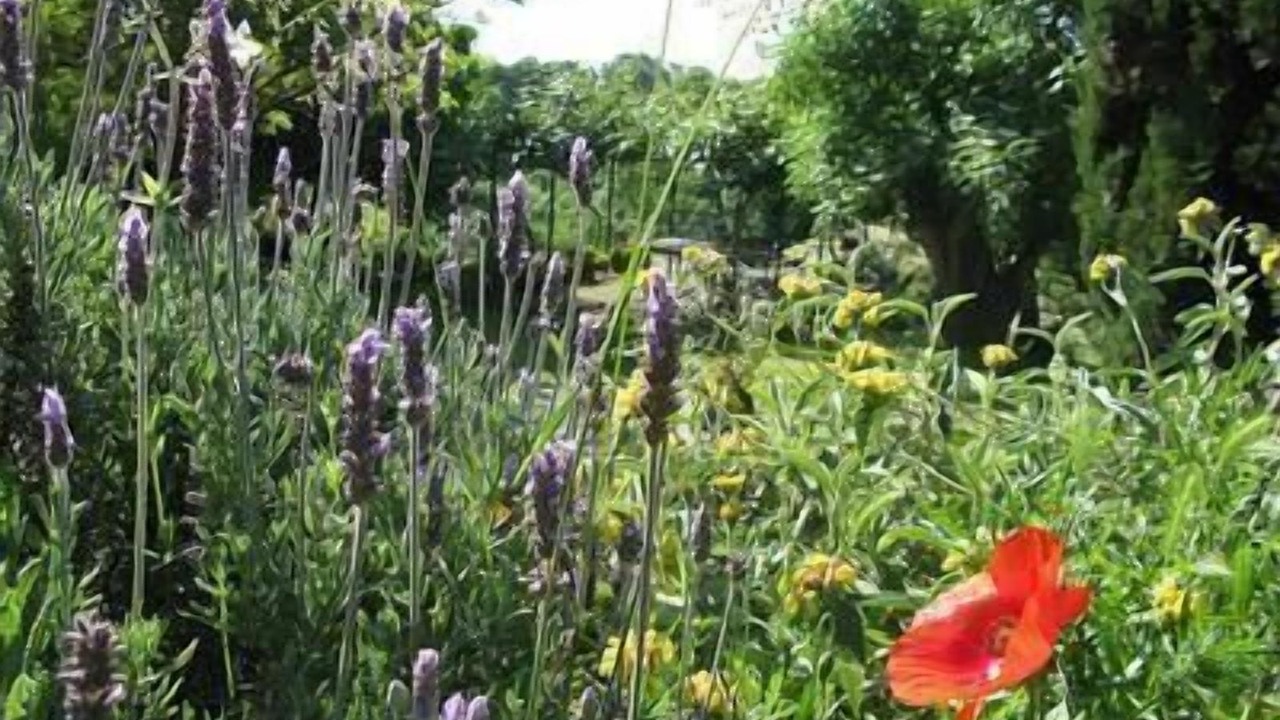Photo of Outdoor in Civitella d'Agliano