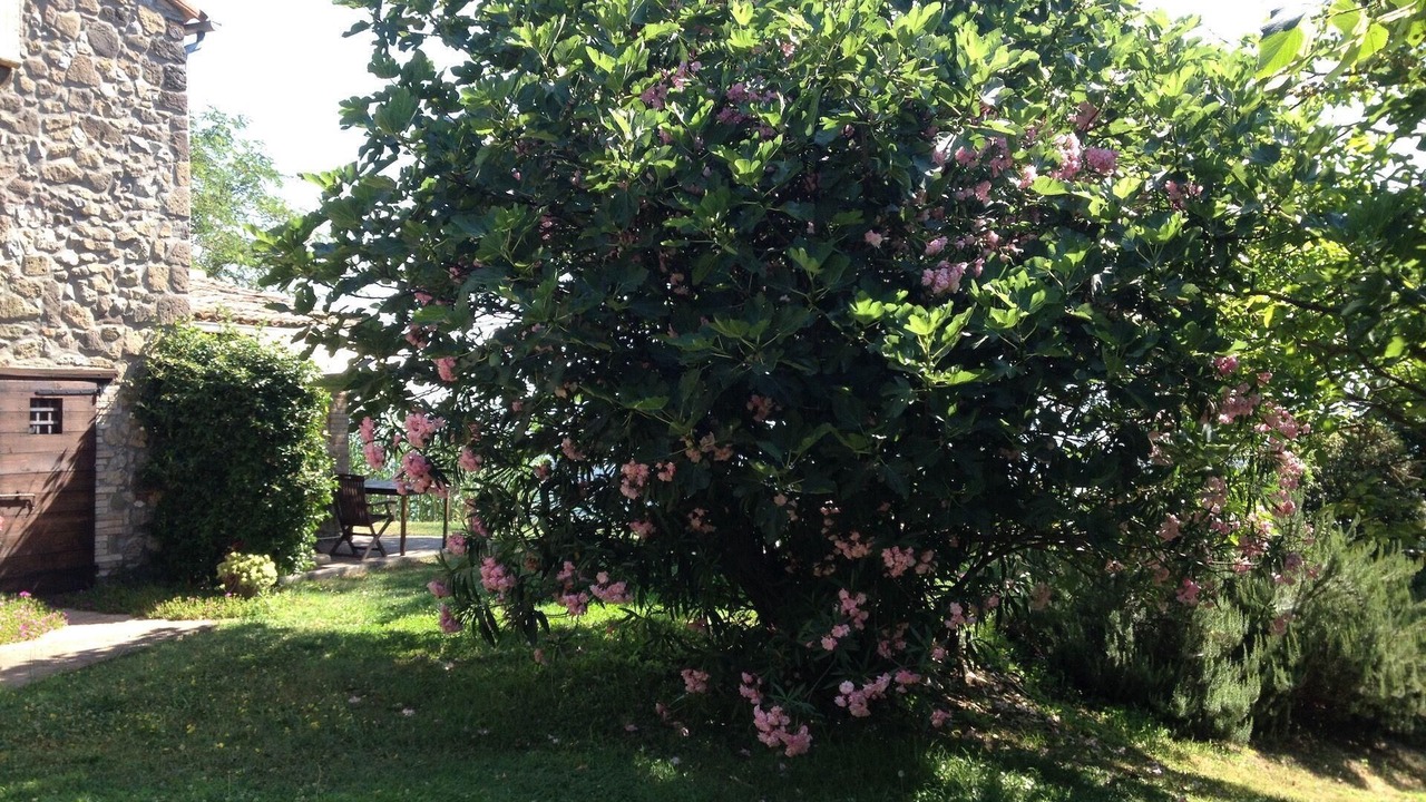 Photo of Outdoor in Civitella d'Agliano