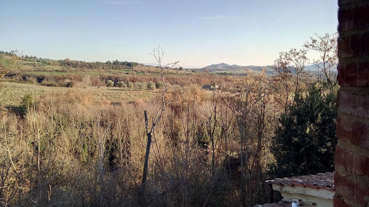 Photo of Others in Montelovesco