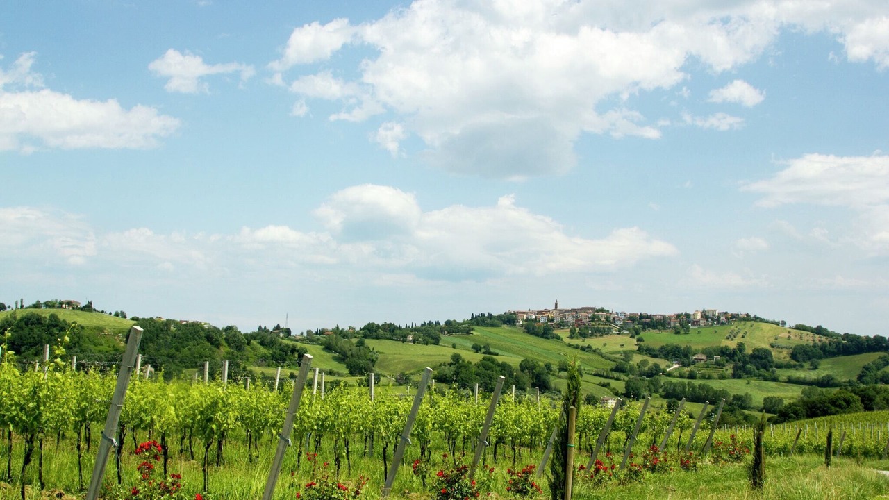 Photo of Outdoor in Barchi