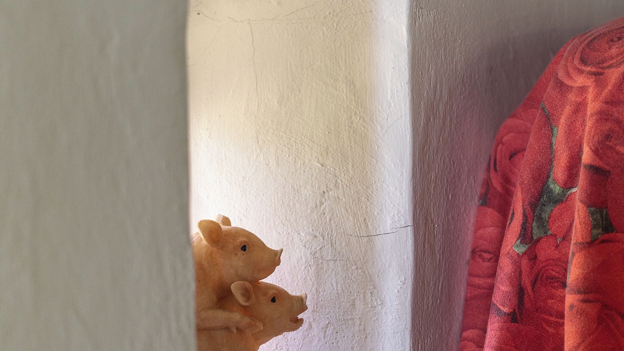 Photo of Others in Morro d'Alba