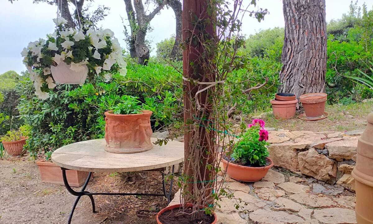 Photo of Patio Balcony in Cala Piccola
