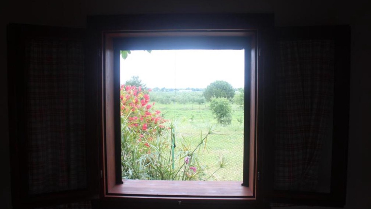 Photo of Others in Montincello