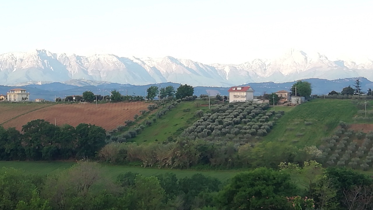Photo of Outdoor in Giulianova