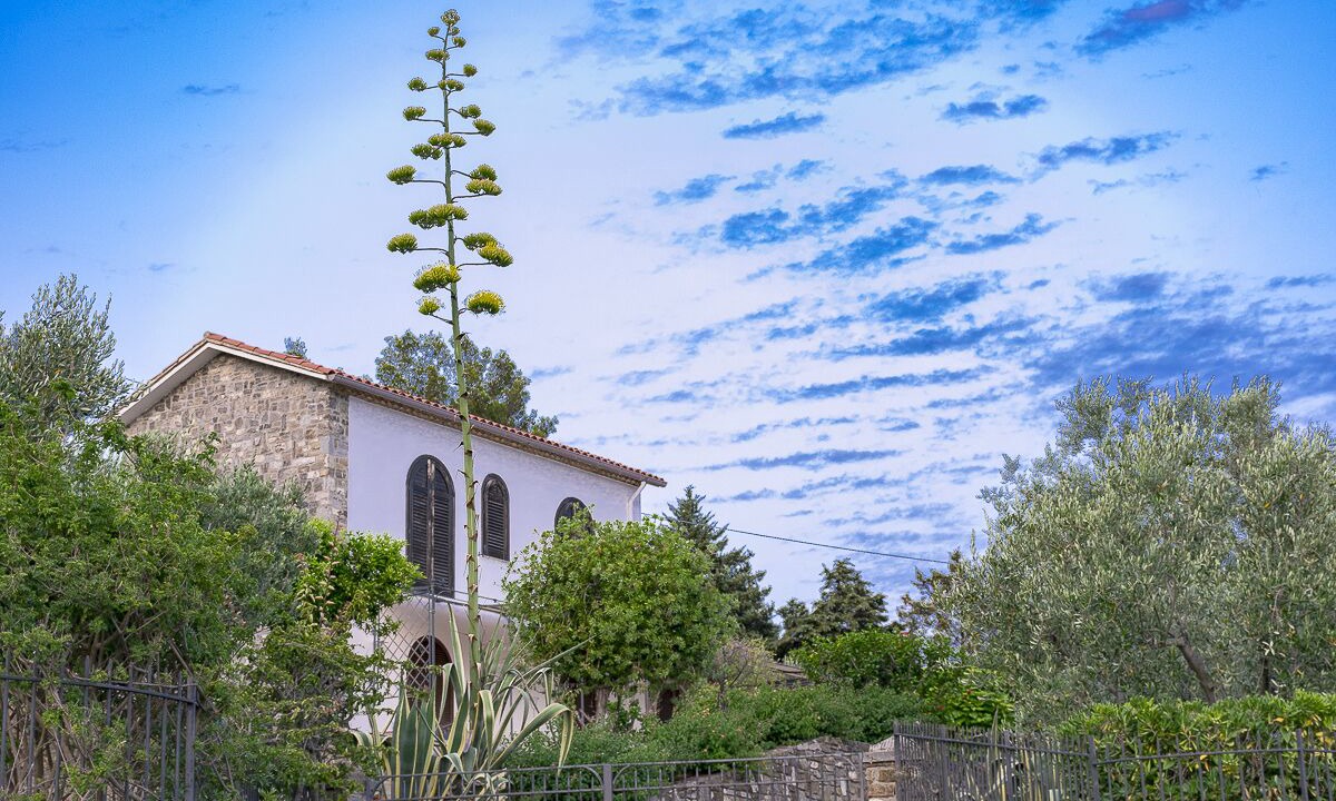 Photo of Outdoor in Pollica