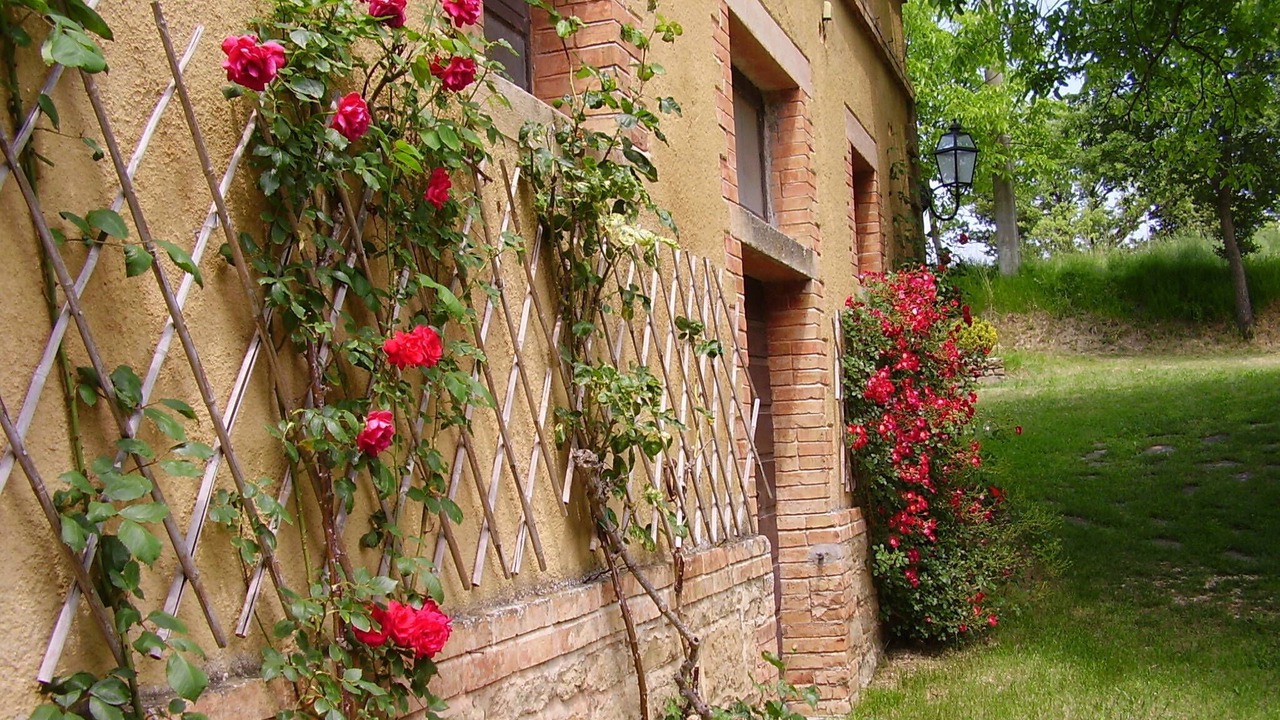 Photo of Outdoor in Giomici
