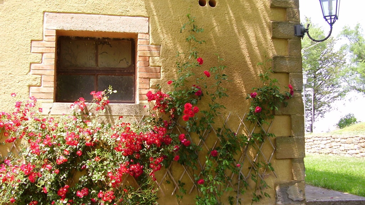 Photo of Outdoor in Giomici