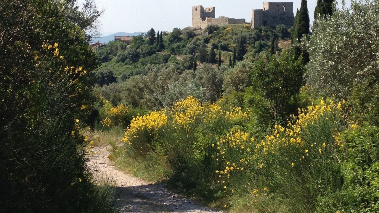 Photo of Outdoor in Montemassi