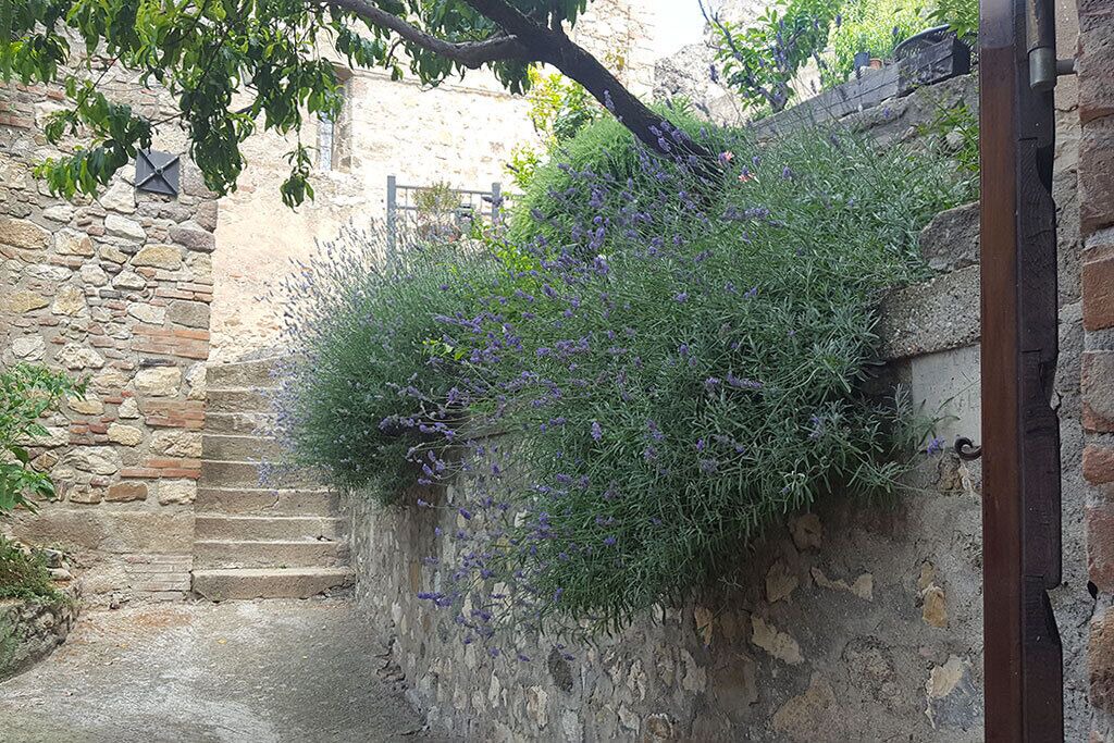 Photo of Outdoor in Montemassi
