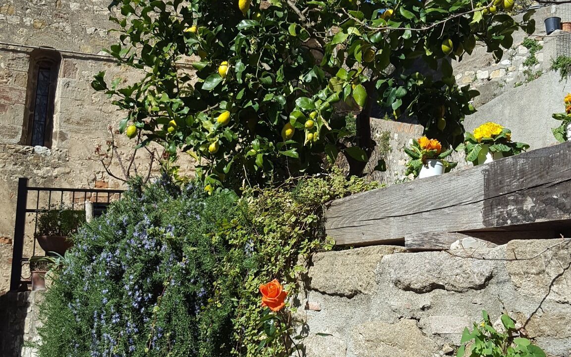 Photo of Outdoor in Montemassi