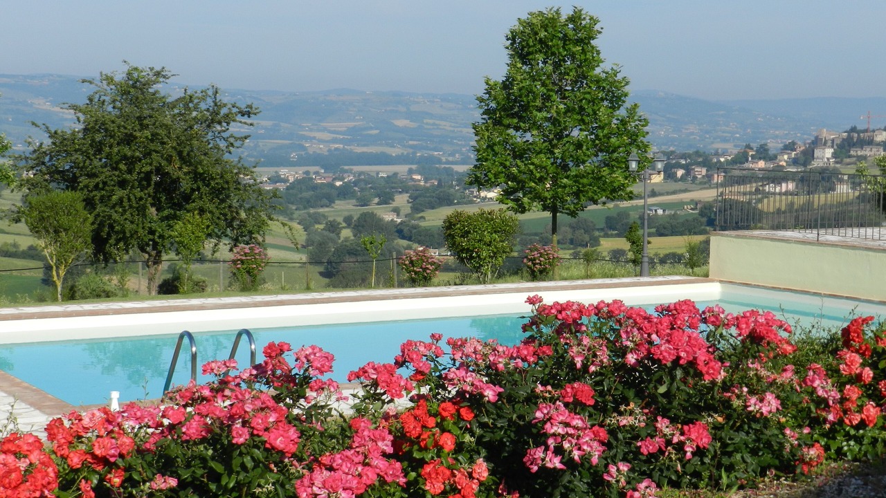 Photo of Outdoor in Loreto