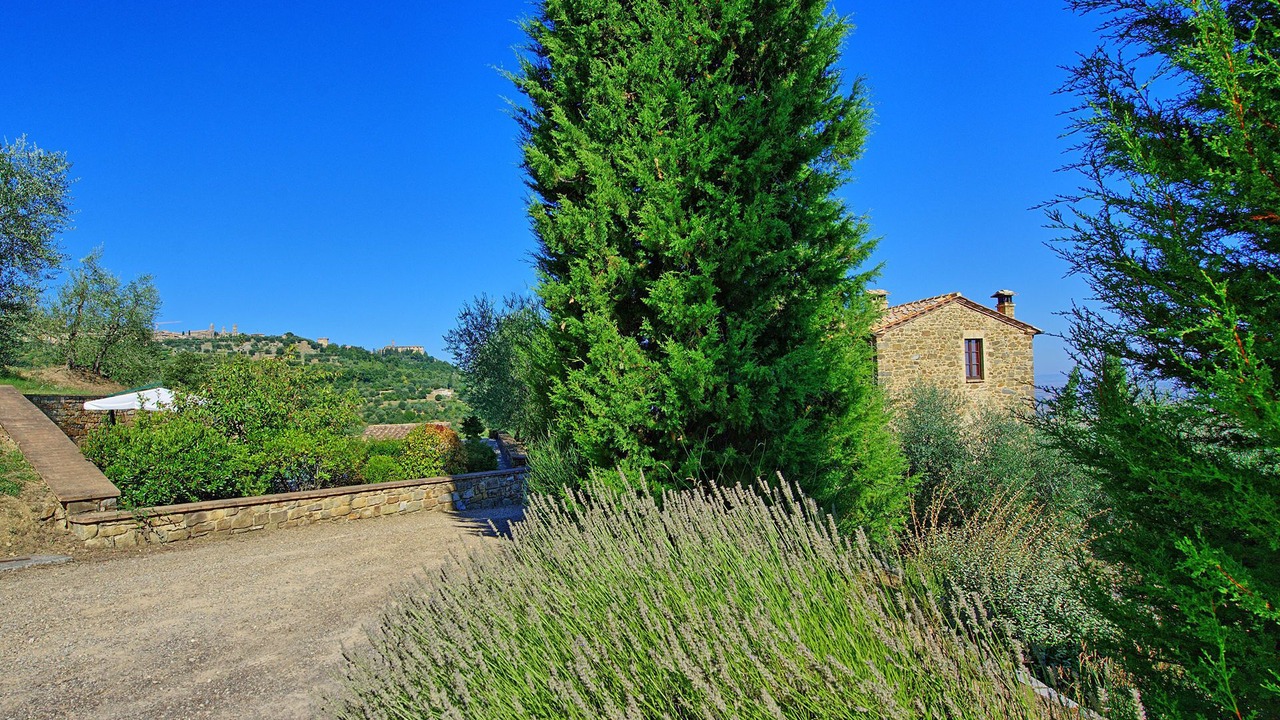 Photo of Outdoor in Montalcino